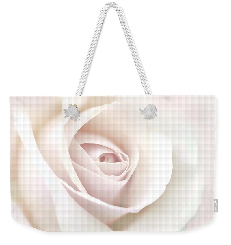 Rose Weekender Tote Bag featuring the photograph Softness of a Pastel Rose Flower by Jennie Marie Schell