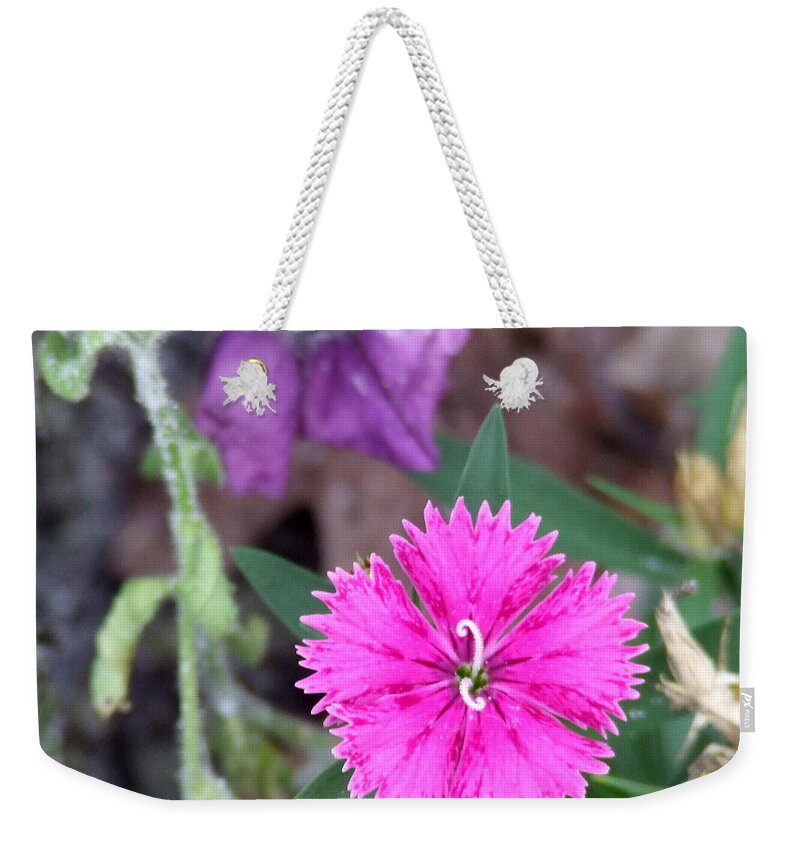 Flower Weekender Tote Bag featuring the photograph Solitary by Andrea Anderegg