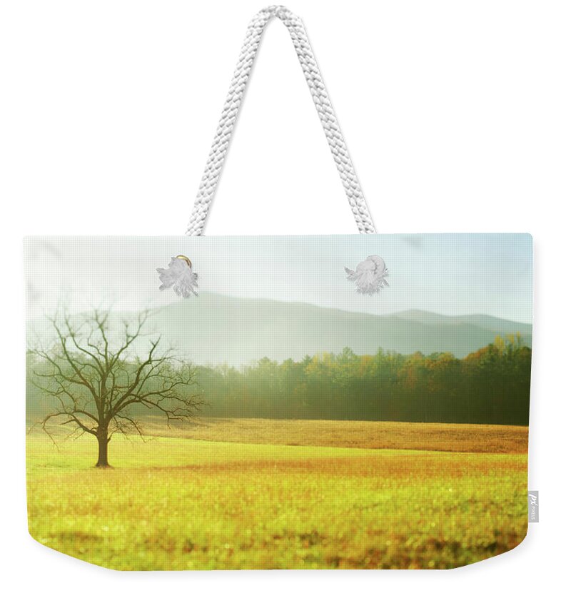 Scenics Weekender Tote Bag featuring the photograph Solitary Tree In The Field, Great Smoky by Moreiso