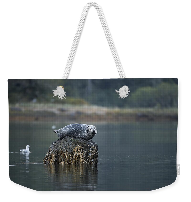 Seal Weekender Tote Bag featuring the photograph Some Days Are Like This by Bill Cubitt