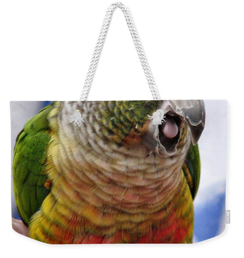 Conure Weekender Tote Bag featuring the photograph Something To Talk About by Rory Siegel