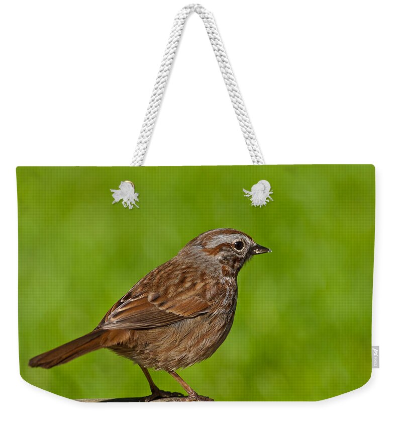 Animal Weekender Tote Bag featuring the photograph Song Sparrow on a Log by Jeff Goulden