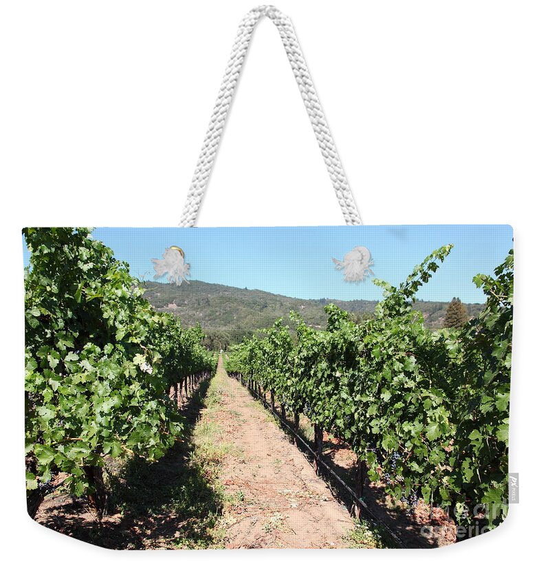 Vineyard Weekender Tote Bag featuring the photograph Sonoma Vineyards In The Sonoma California Wine Country 5D24638 by Wingsdomain Art and Photography
