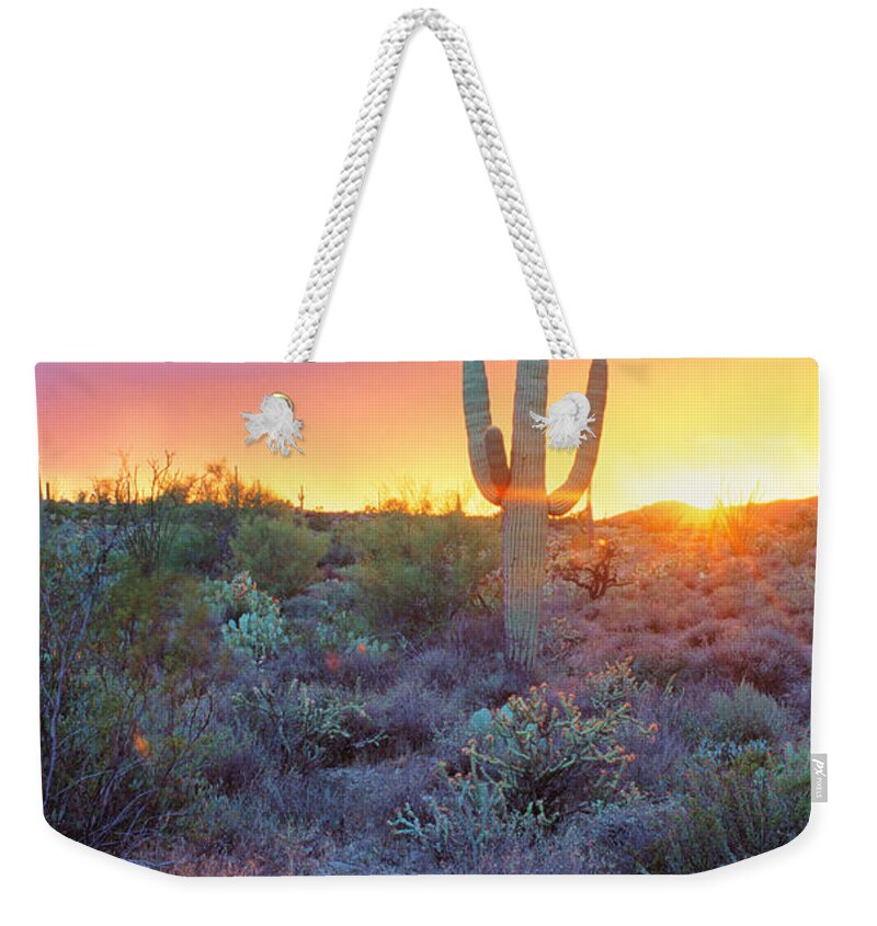 Arizona Weekender Tote Bag featuring the photograph Sonoran Desert Sunset by Adam Sylvester