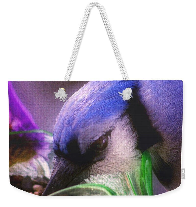 Blue Jay Weekender Tote Bag featuring the photograph Sophisticated... by Arthur Miller