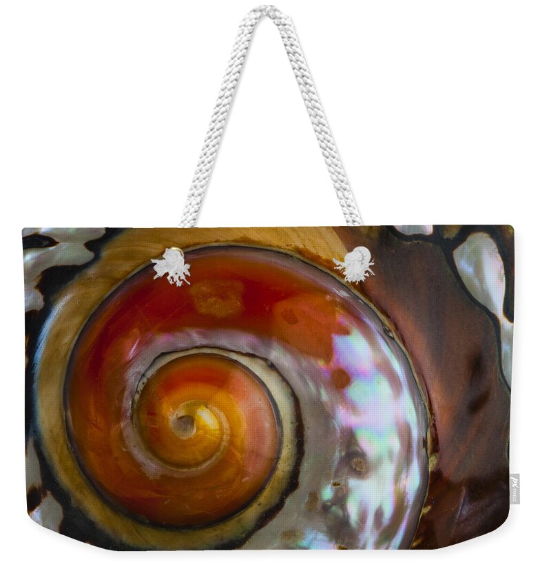 South African Weekender Tote Bag featuring the photograph South African Turban Shell by Carol Leigh