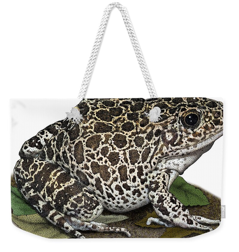 Southern Crawfish Frog Weekender Tote Bag featuring the photograph Southern Crawfish Frog, Illustration by Roger Hall
