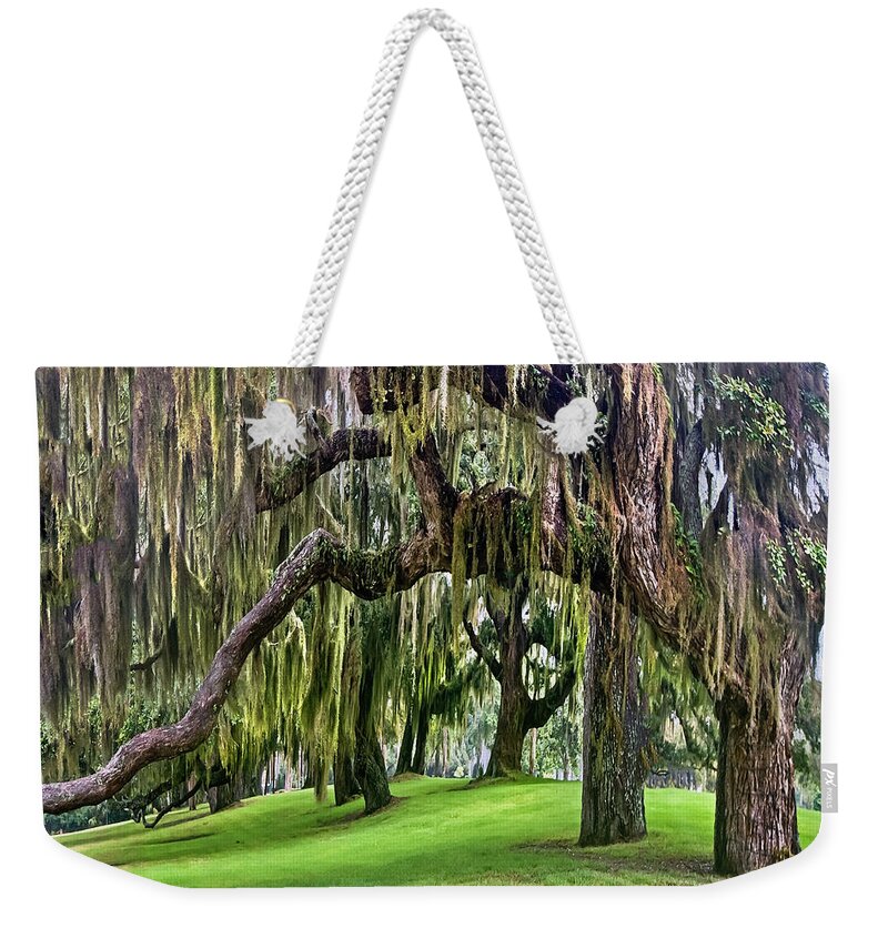 Georgia Weekender Tote Bag featuring the photograph Spanish Moss by Debra and Dave Vanderlaan