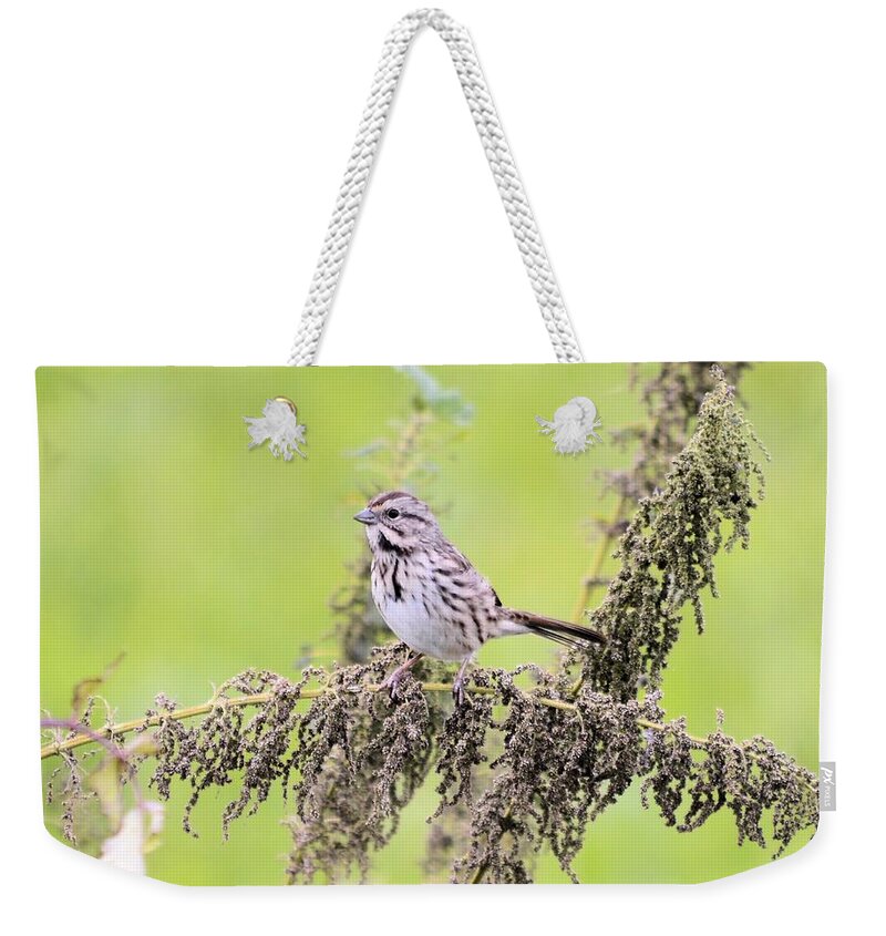 Sparrow Weekender Tote Bag featuring the photograph Sparrow Stop by Bonfire Photography