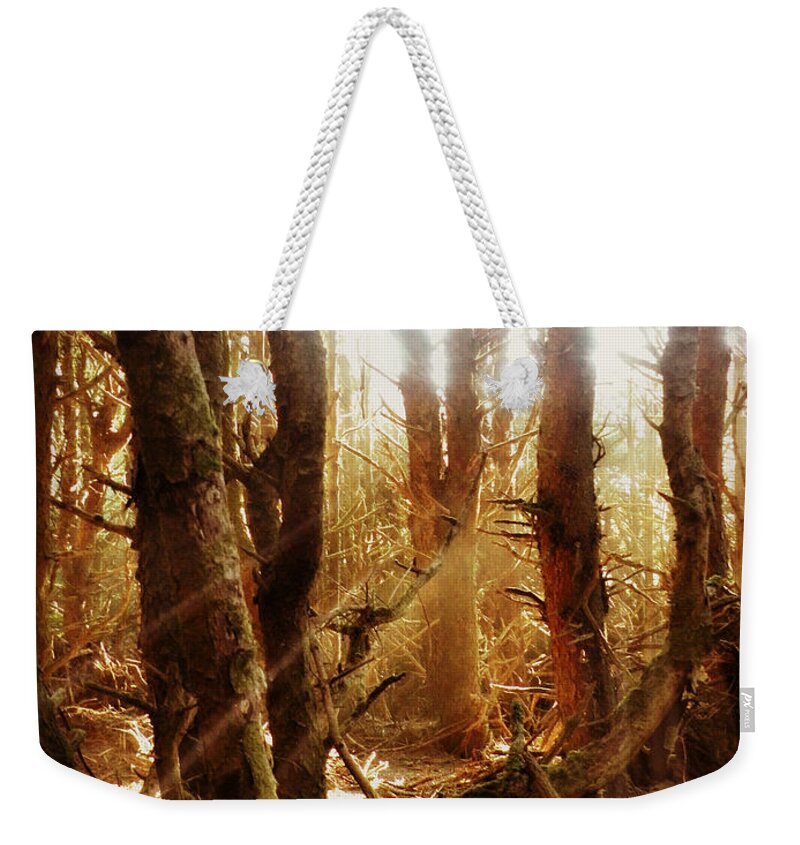 Spellbound Weekender Tote Bag featuring the photograph Spellbound by Micki Findlay