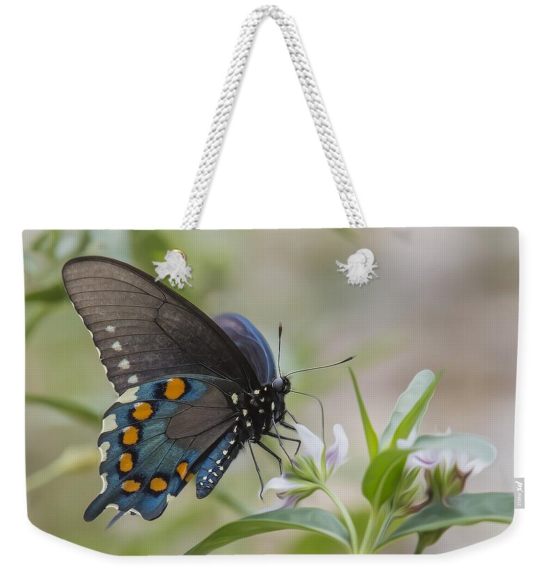 Insect Weekender Tote Bag featuring the photograph Spicebush In Wildflowers by Bill and Linda Tiepelman