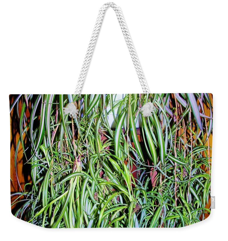 Plant Weekender Tote Bag featuring the photograph Spider Plant by Sherman Perry