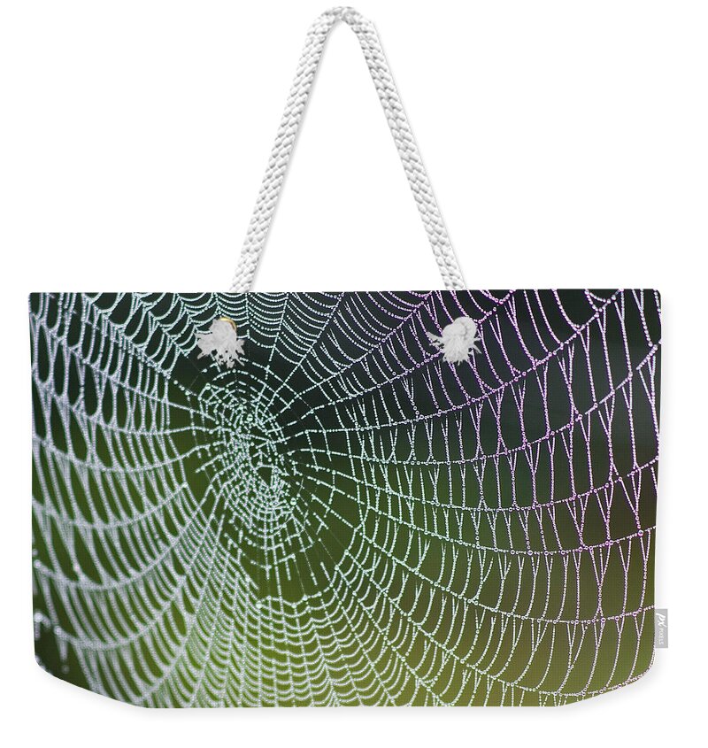 Spiderweb Weekender Tote Bag featuring the photograph Spider Web by Heiko Koehrer-Wagner