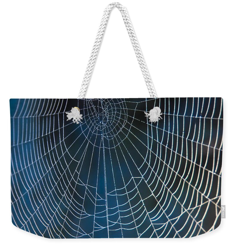 Spiderweb Weekender Tote Bag featuring the photograph Spider's Net by Heiko Koehrer-Wagner