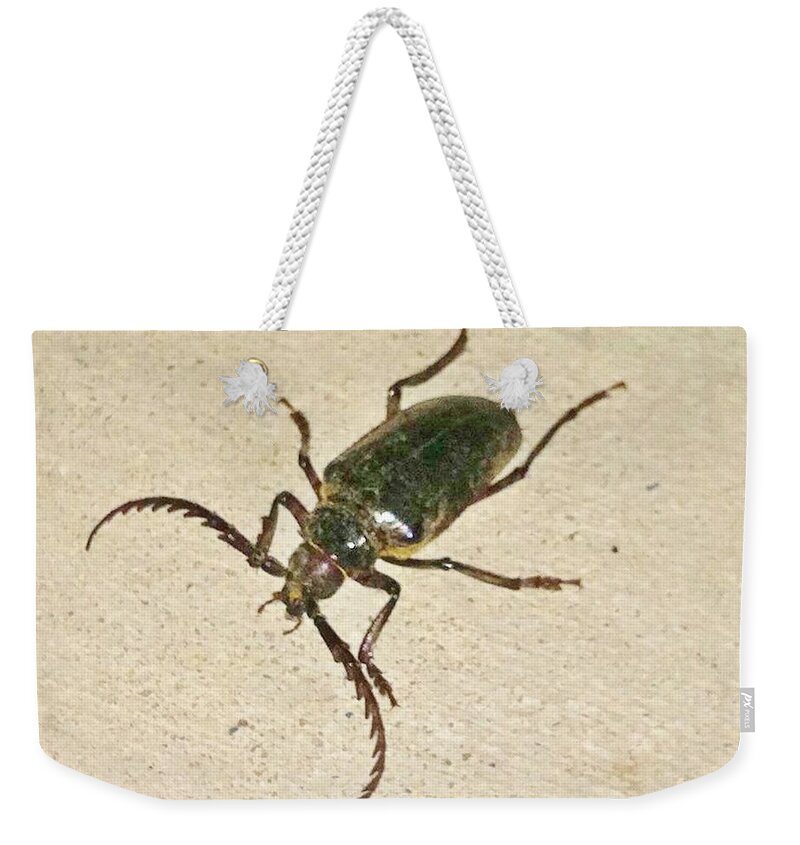 Bugs Weekender Tote Bag featuring the photograph Spike by Angela J Wright