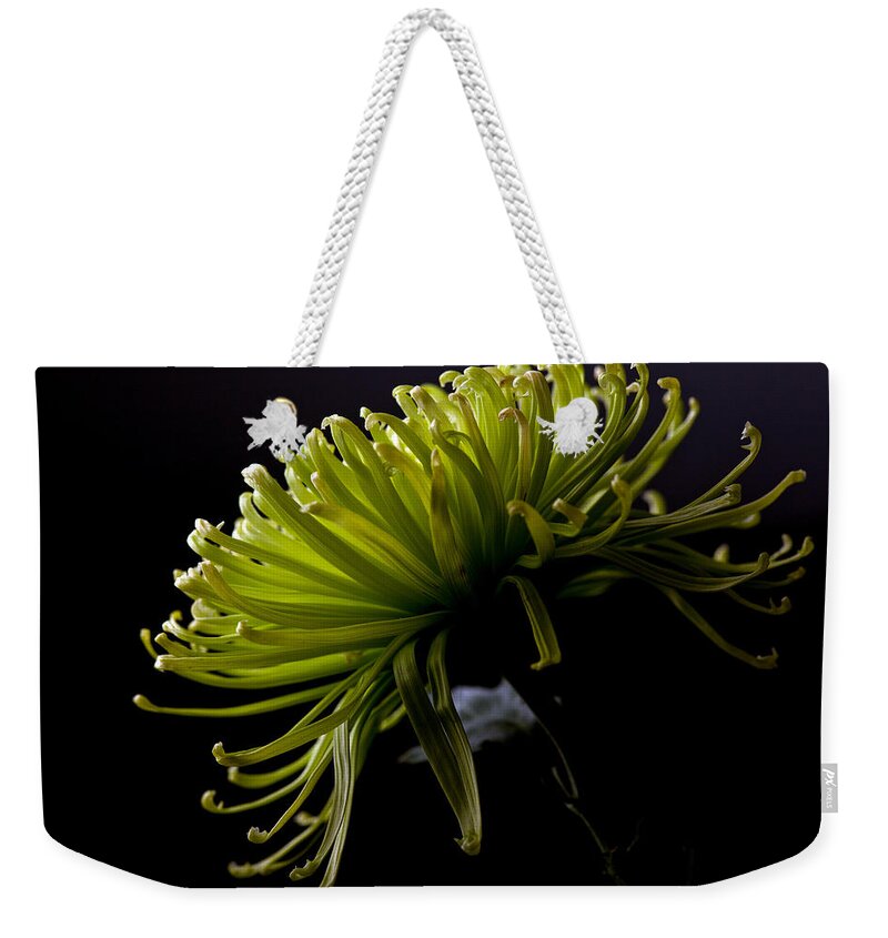 Green Weekender Tote Bag featuring the photograph Spike by Sennie Pierson