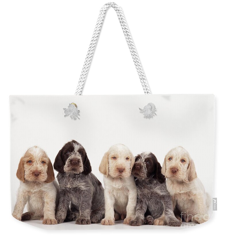 Dog Weekender Tote Bag featuring the photograph Spinone Puppy Dogs by John Daniels