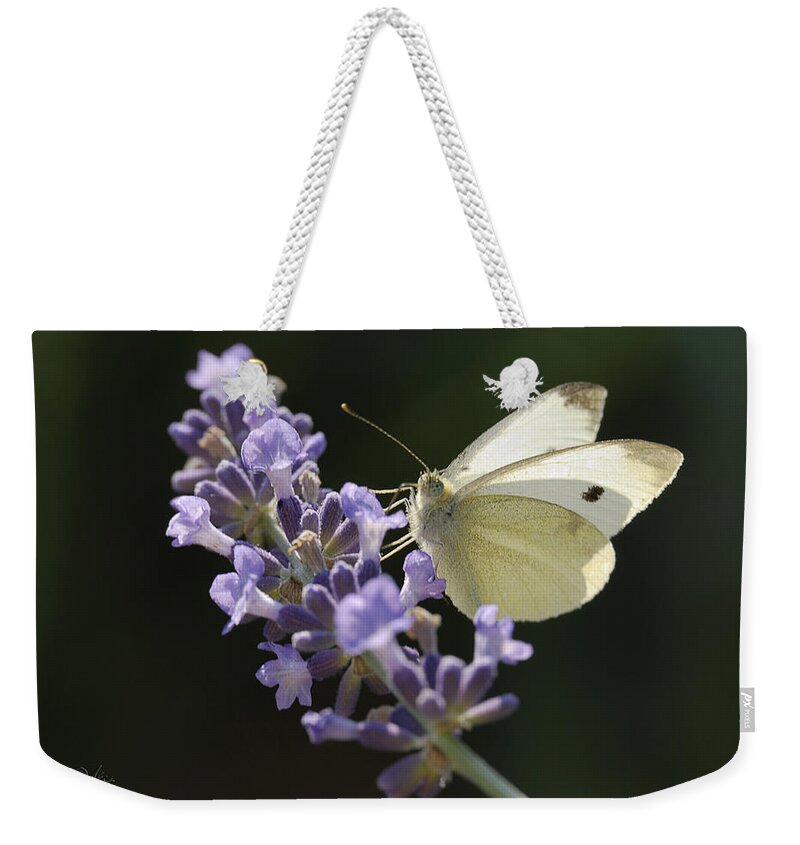 Insect Weekender Tote Bag featuring the photograph Spot by Arthur Fix