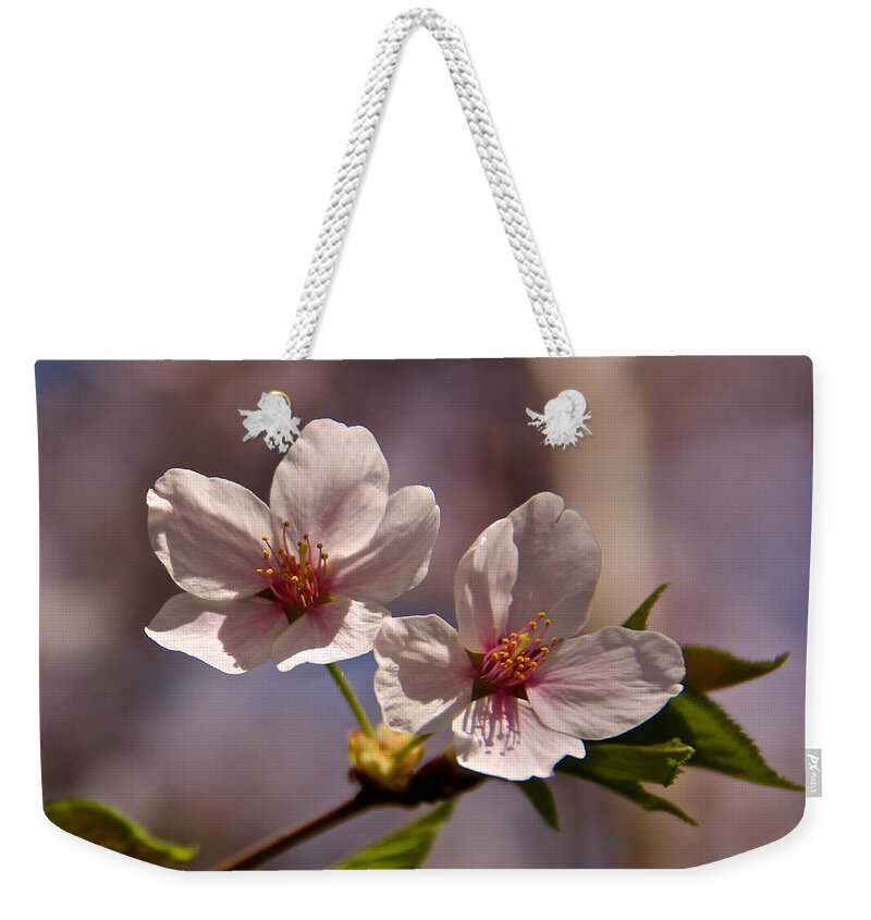 Capitol Weekender Tote Bag featuring the photograph Spotlight by Kathi Isserman