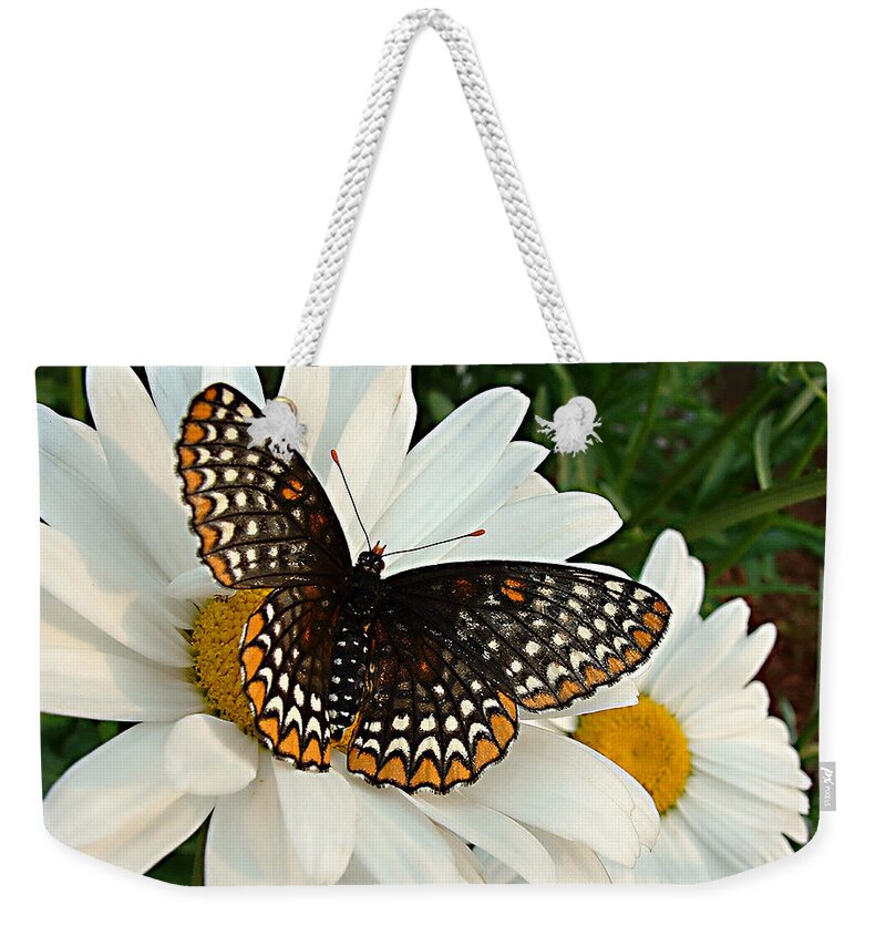 Big Butterfly Weekender Tote Bag featuring the photograph Spotted Butterfly by Tanya Hamell