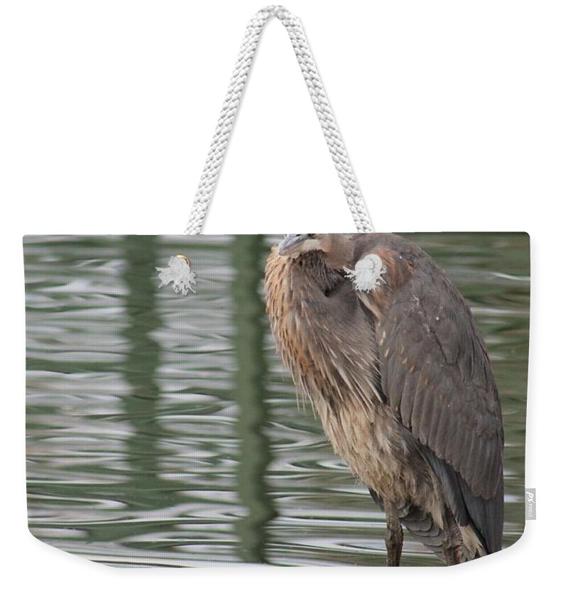 Ardea Herodias Weekender Tote Bag featuring the photograph Spotted by a Great Blue Heron by Robert Banach