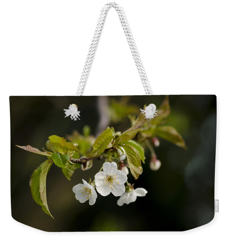 Branch Weekender Tote Bag featuring the photograph Spring Blossom by Spikey Mouse Photography