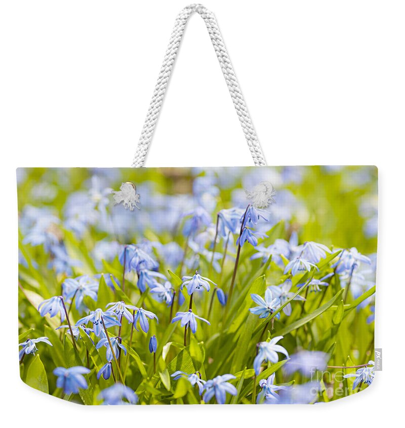 Flowers Weekender Tote Bag featuring the photograph Spring blue flowers 5 by Elena Elisseeva
