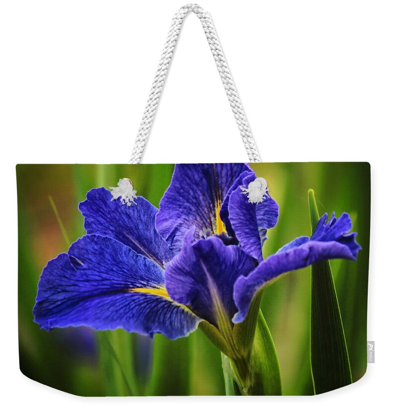 Spring Weekender Tote Bag featuring the photograph Spring Blue Iris by Lucy VanSwearingen