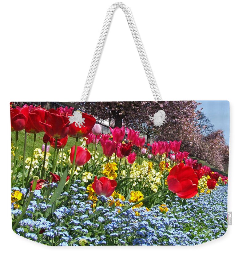 Edinburgh Weekender Tote Bag featuring the photograph Spring Flowers - Edinburgh by Phil Banks