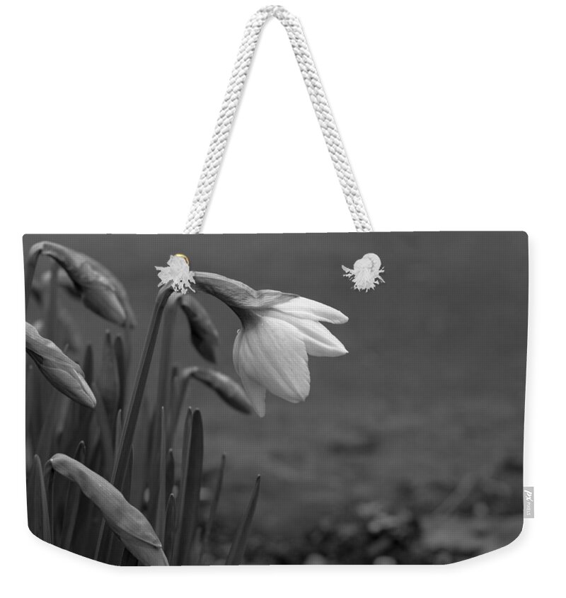 Flowers Weekender Tote Bag featuring the photograph Spring Daffodils by Ron Roberts