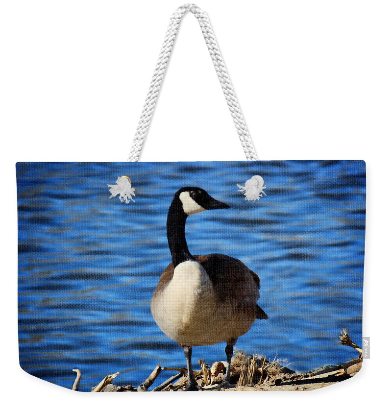 Canada Goose Weekender Tote Bag featuring the photograph Spring Day by Sylvia Thornton