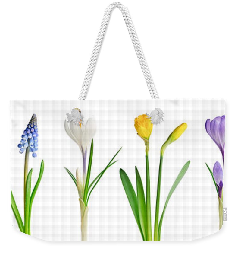 Flowers Weekender Tote Bag featuring the photograph Spring flowers 1 by Elena Elisseeva