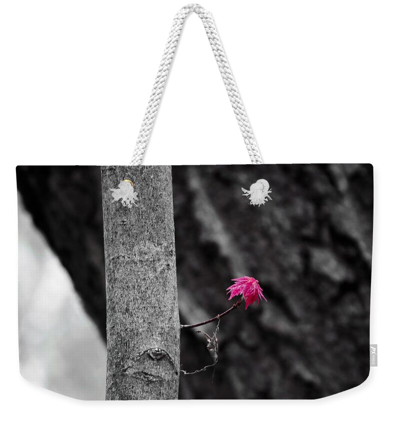 Natural Bridge Weekender Tote Bag featuring the photograph Spring Maple Growth by Steven Ralser