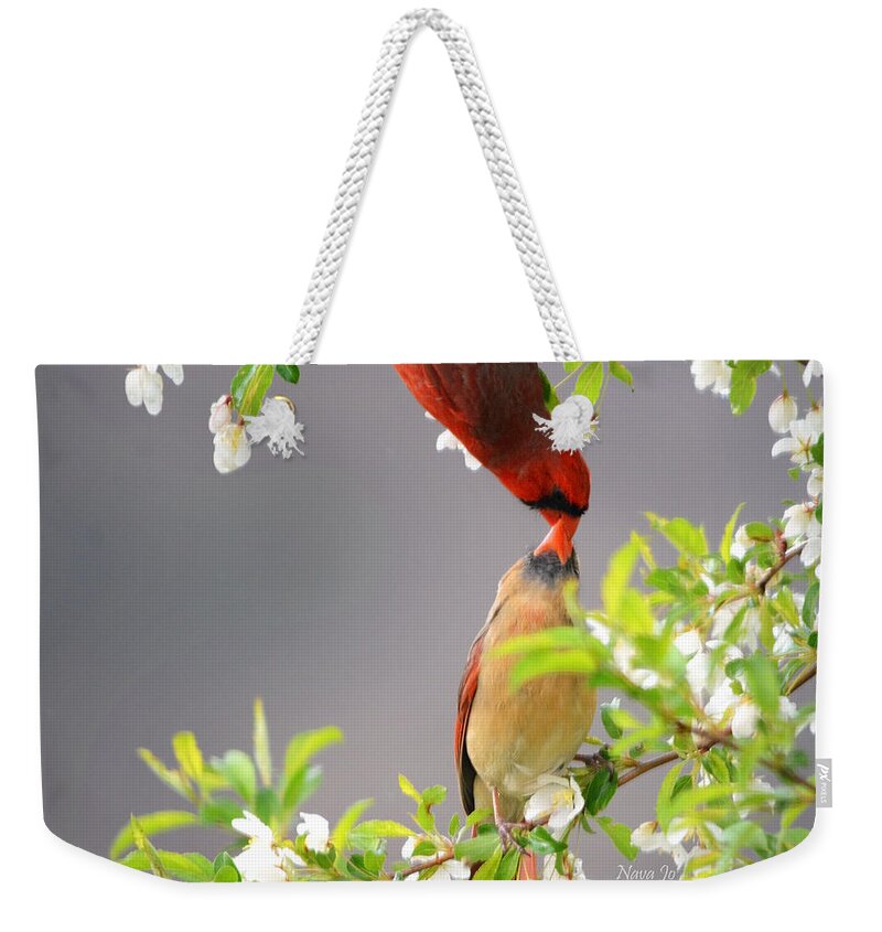 Nature Weekender Tote Bag featuring the photograph Cardinal Spring Love by Nava Thompson