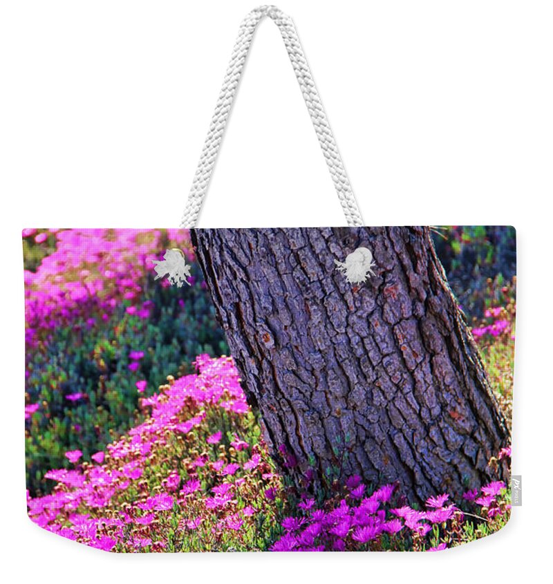 Spring Meadow Weekender Tote Bag featuring the photograph Spring Meadow by Mariola Bitner