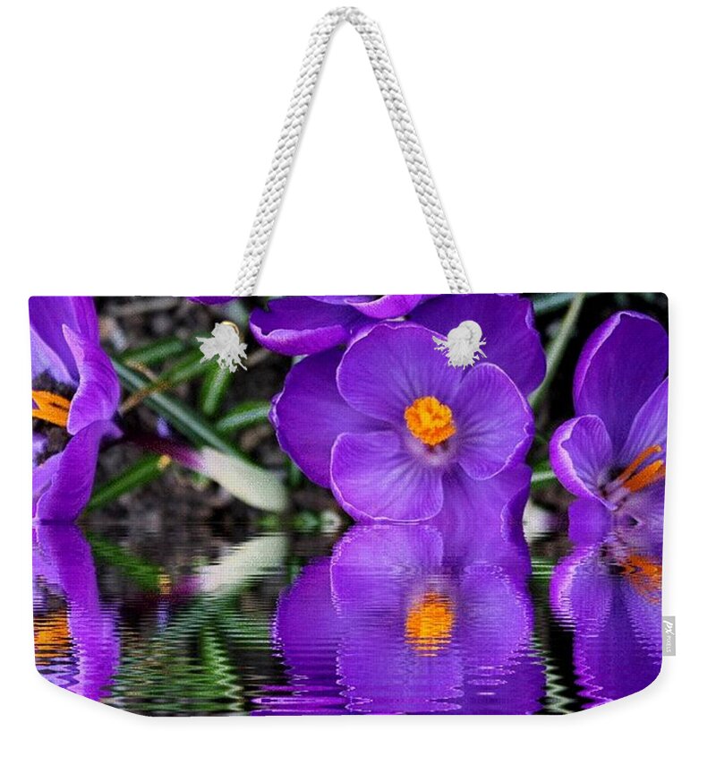 Crocus Weekender Tote Bag featuring the photograph Spring Reflection by Judy Palkimas