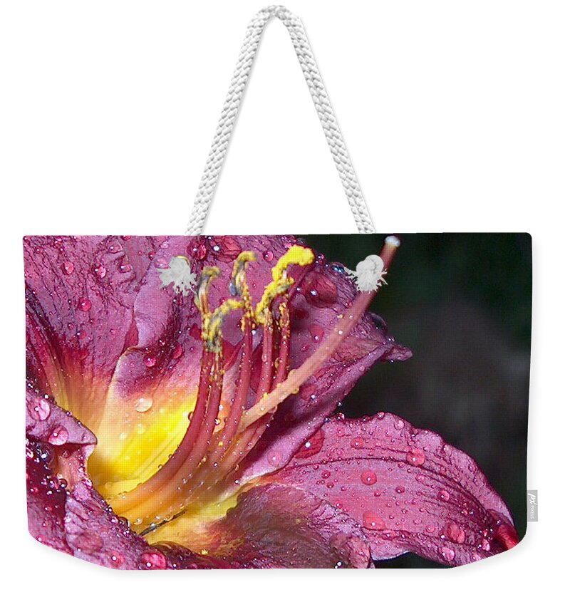 Spring Weekender Tote Bag featuring the photograph Spring Showers by Bertie Edwards