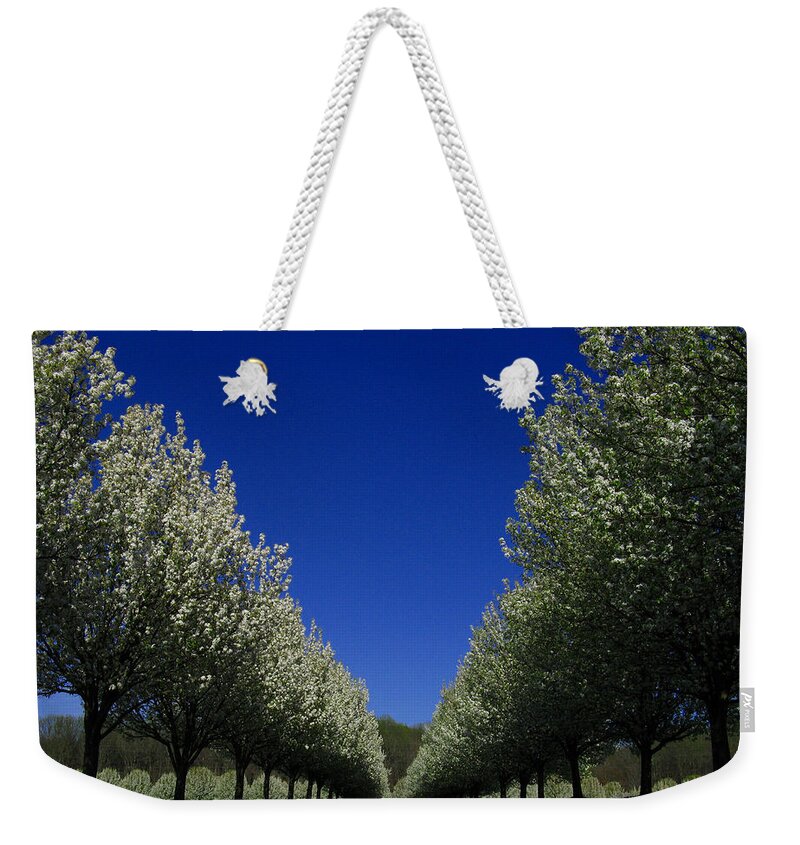 Spring Tunnel Weekender Tote Bag featuring the photograph Spring Tunnel by Raymond Salani III