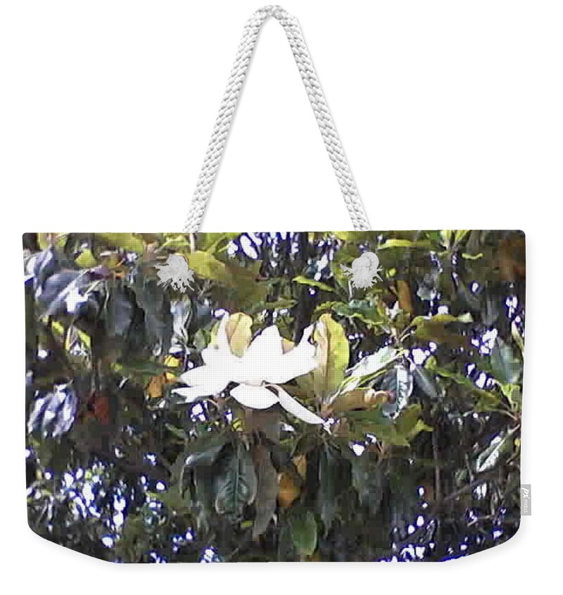 Spring Flowers Weekender Tote Bag featuring the photograph Springtime Magnolia by Suzanne Berthier