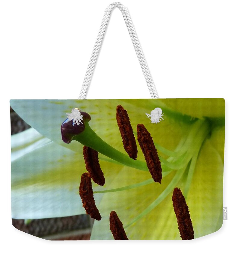 Lily Weekender Tote Bag featuring the photograph Sq Lily Morning by Dale Crum