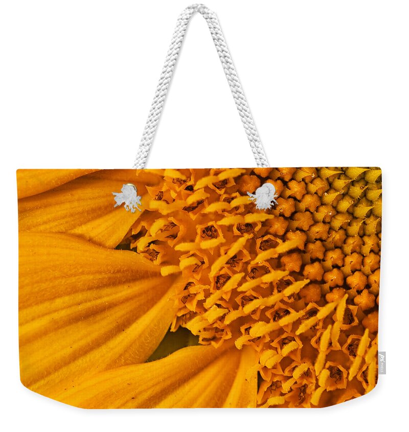 Sunflower Weekender Tote Bag featuring the photograph Square Sunflower by Mark Kiver