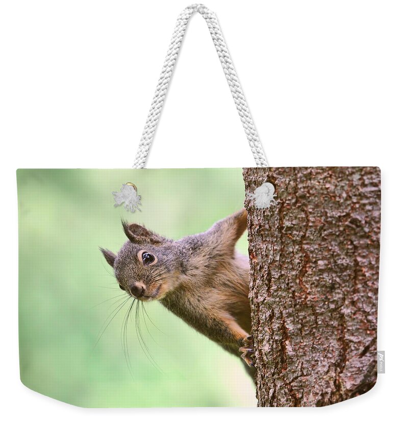 Squirrels Weekender Tote Bag featuring the photograph Squirrel in a Tree by Peggy Collins