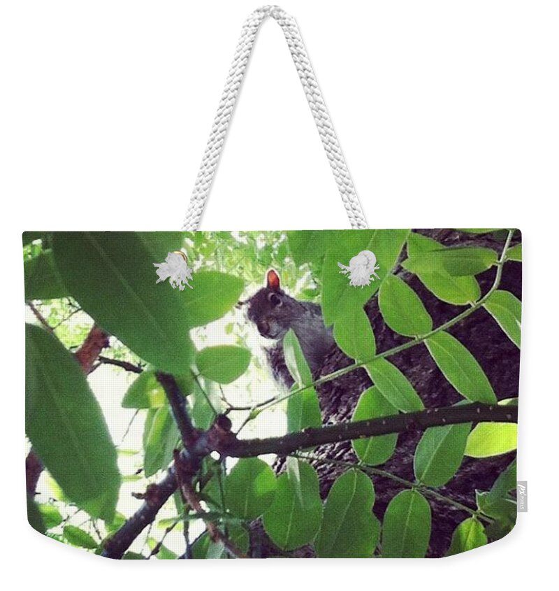 Squirrell Weekender Tote Bag featuring the photograph Squirrell by Katie Cupcakes