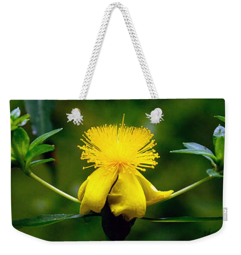 Flower Weekender Tote Bag featuring the photograph St John's Wort by Mark Valentine
