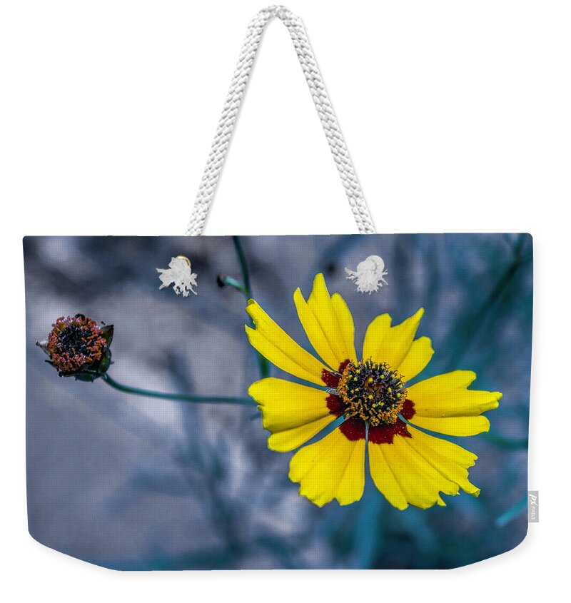 Wild Flower Weekender Tote Bag featuring the photograph Stages of Life by John Dauer