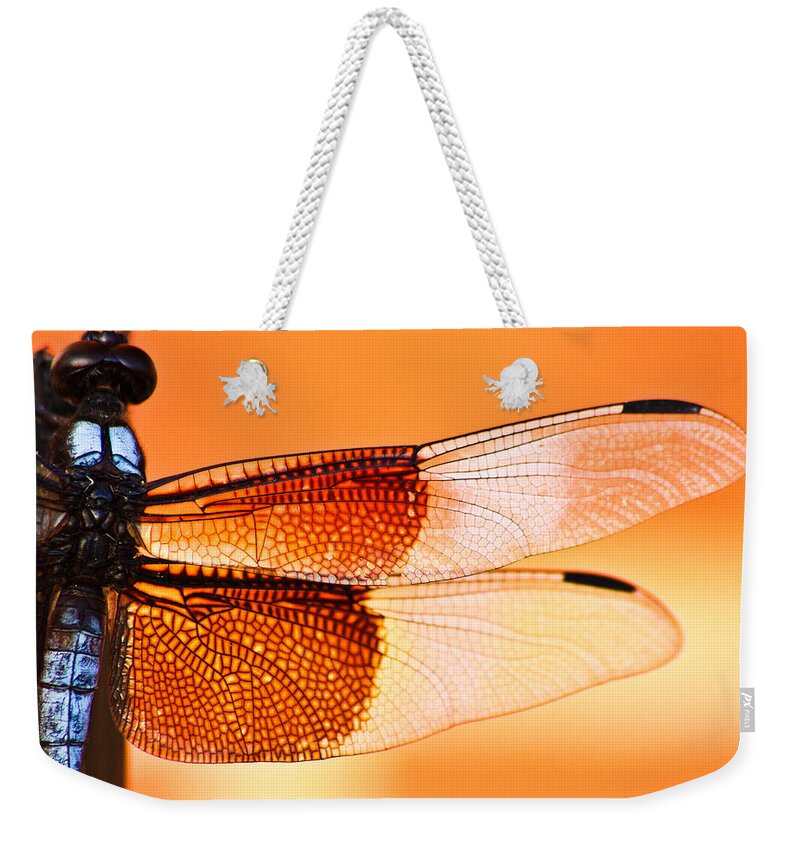 Dragonfly Weekender Tote Bag featuring the photograph Stained Glass by Mark Alder