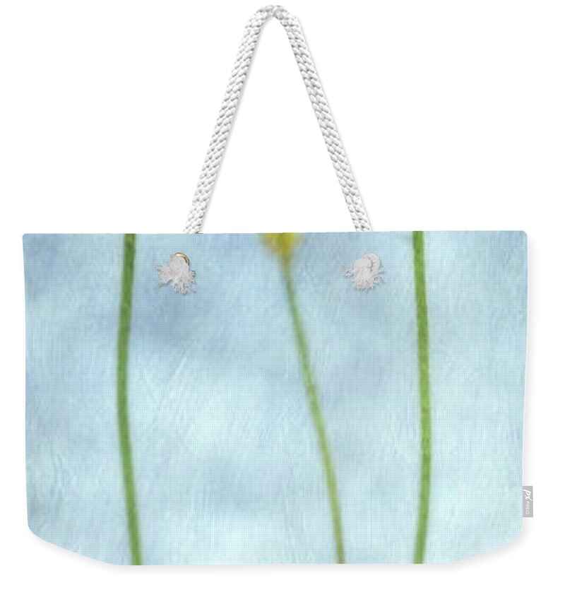 Poppy Weekender Tote Bag featuring the photograph Stand by me by Priska Wettstein