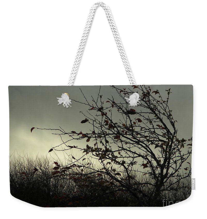 Tree Weekender Tote Bag featuring the photograph Stand Strong by Gallery Of Hope 