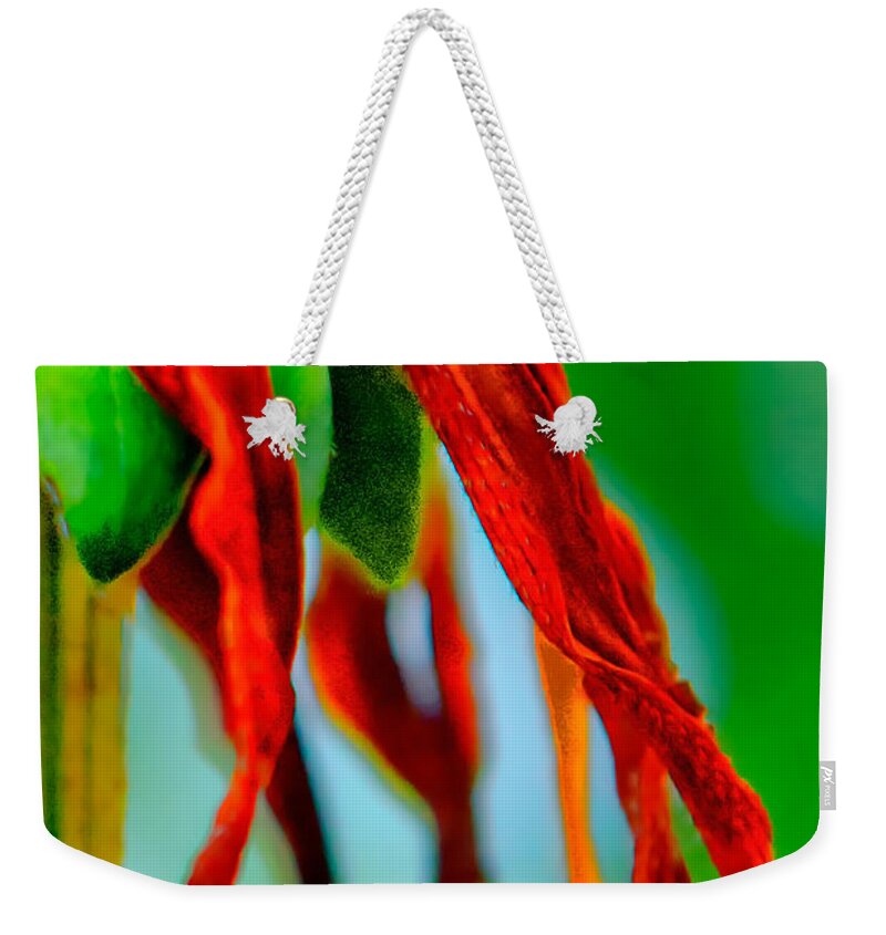 Standing Bright A Late Summer Flower Weekender Tote Bag featuring the photograph Standing Bright by Michael Arend