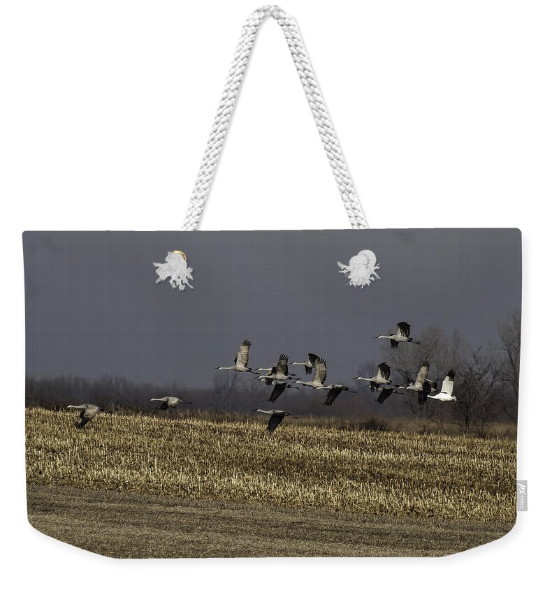 Whooping Crane Weekender Tote Bag featuring the photograph Standing Out 1 by Thomas Young